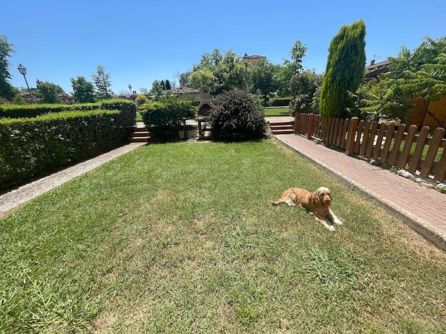 Casa Vacanza Villaggio Poggio Rosso Arezzo Kültér fotó